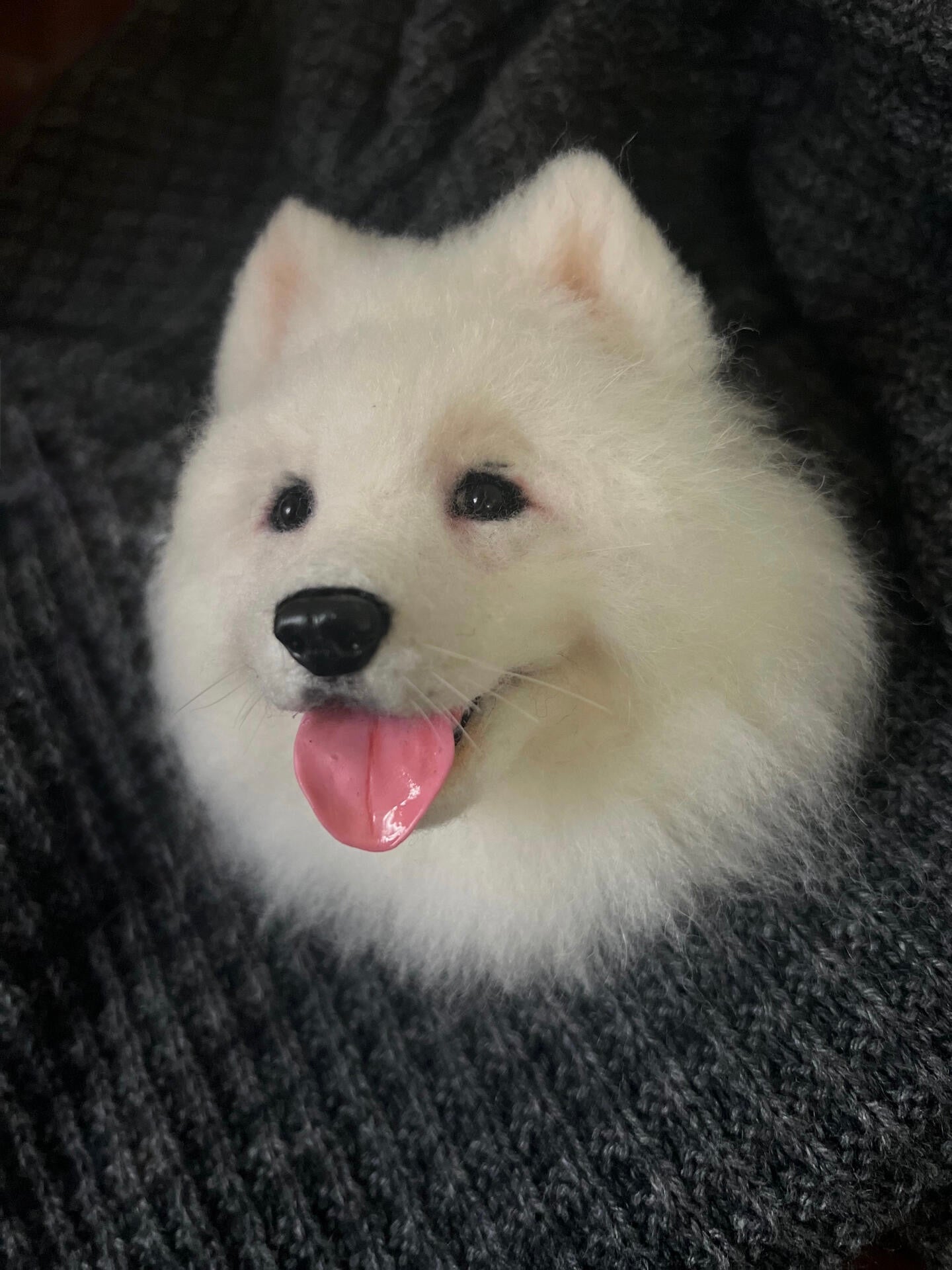 Portrait-Dog